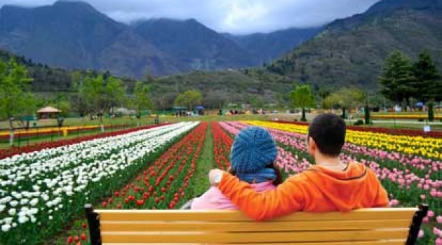 Tulip garden likely to witness early opening in view of rise in temp