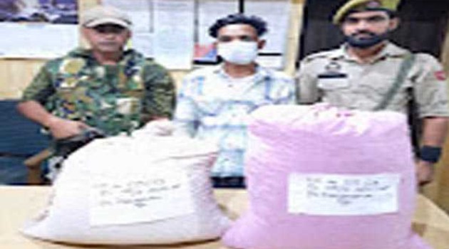 Police arrest interstate drug peddler in Srinagar