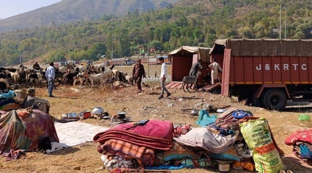 Transhumance: 12,497 families, 1.56 Lakh livestock provided transport facilities from Kashmir