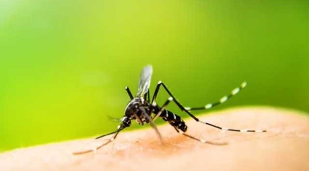 Dengue cases surpass 10,000 in Sri Lanka in January