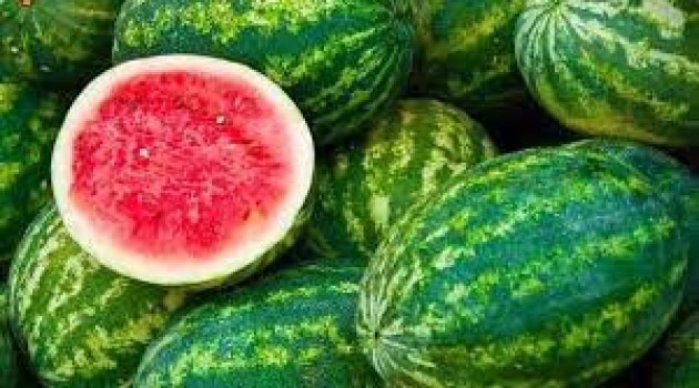 Nothing adverse Found in test reports, watermelons safe for consumption: Govt