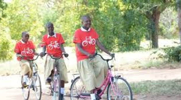 World Bicycle Day: Pedal power makes positive impact on climate, says UN
