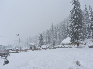 Kashmir higher reaches experience fresh snowfall, plains receive rains