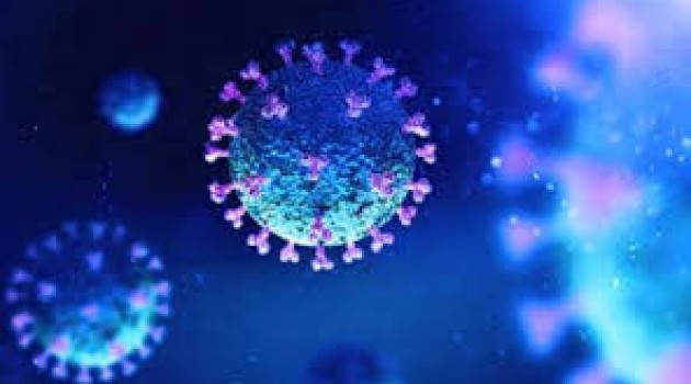 South Korea launches review of Celltrion antibody Coronavirus treatment – Reports