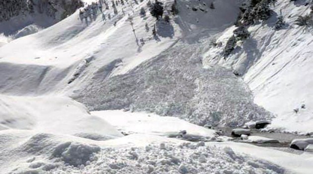 Avalanche warning issued to 6 J&K districts amid inclement weather