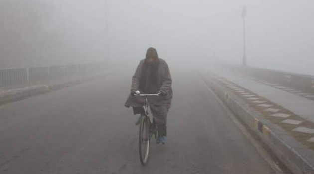 Severe cold, dense fog engulfs Kashmir