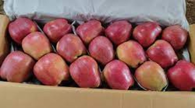 Fruit Growers seek GoI’s intervention, demand ban on Iranian apples