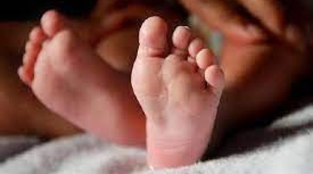 J&K registers significant achievement in reducing infant mortality: NHM J&K