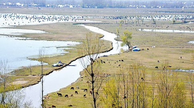 Asia’s famed Wular lake to have non-motorable walkway: Govt