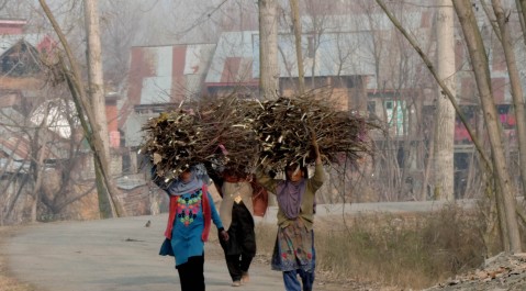 Women carry dry tree branches on their heads in the outskirts of Srinagar