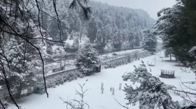 Snow Blankets Kashmir Valley, Hilly Areas Of Jammu; MeT Forecasts More Till Tonight