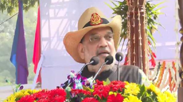 Terrorism activities have decreased  in the valley after Abrogation of Article 370:Shah
