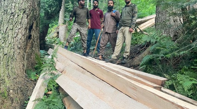 Police seizes illicit timber in Baramulla, 02 accused arrested