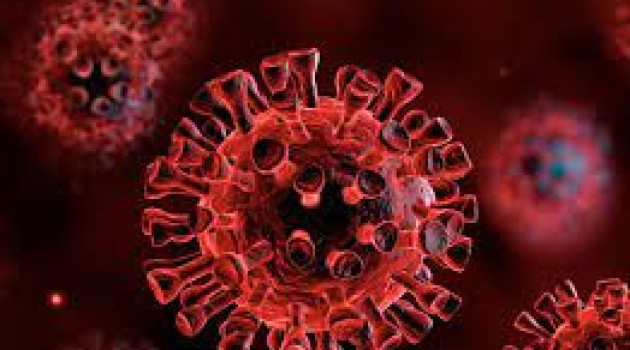 Qatar detects first case of new coronavirus variant EG.5