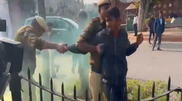 Police detain two people for protesting outside Parliament with smoke canisters