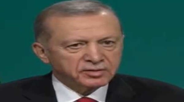 Erdogan discussed steps toward Gaza ceasefire with UAE leader