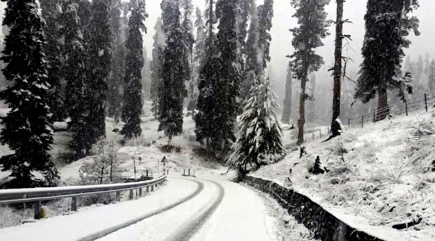 Snowfall In Kashmir, Some Parts Accumulate Over 1-ft; MeT Forecasts More