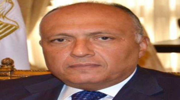 Egyptian FM urges restraint after Iranian attack on Israel